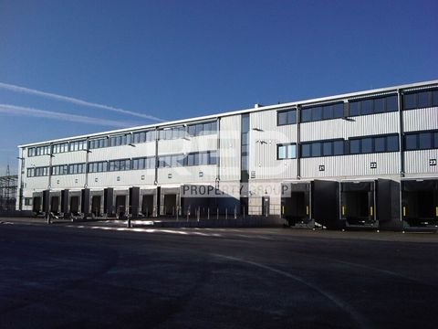 Duisburg Halle, Duisburg Hallenfläche