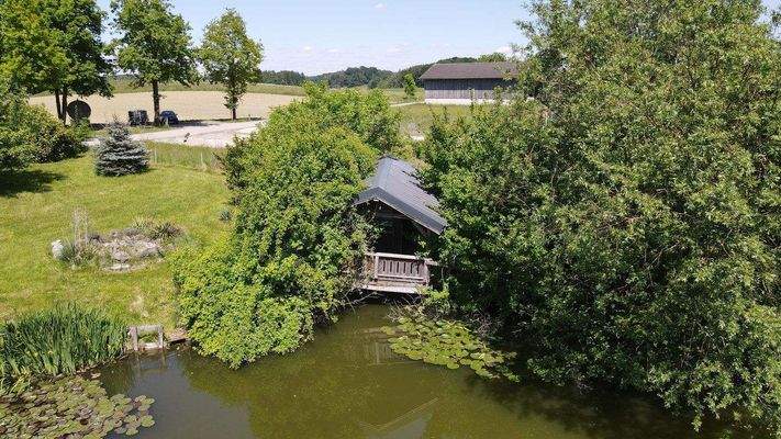 Foto Mai 25 während der Vegetation