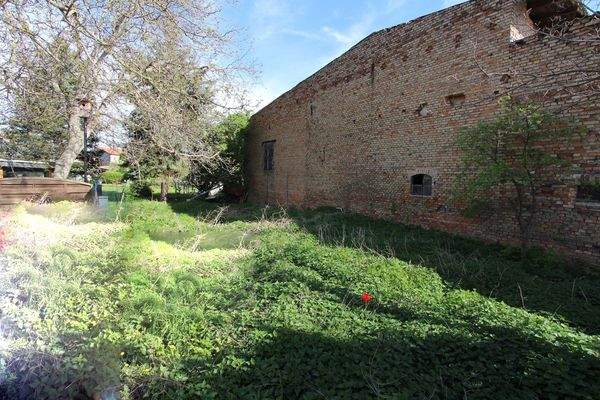 Garten hinten (3).jpg