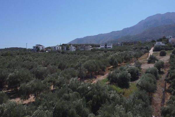 Kreta, Kournas: Eckgrundstück nahe des Kournas-Sees zu verkaufen