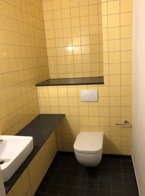 Hansastraße Townhouse_5.png