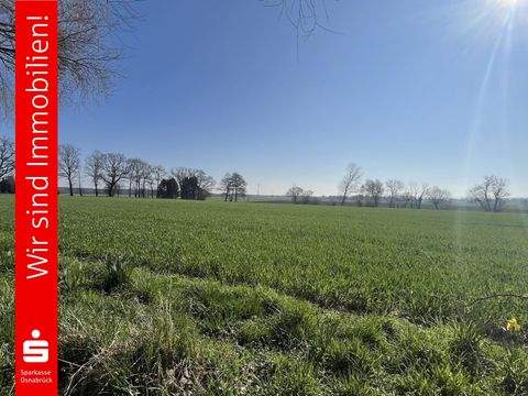 Bohmte Bauernhöfe, Landwirtschaft, Bohmte Forstwirtschaft