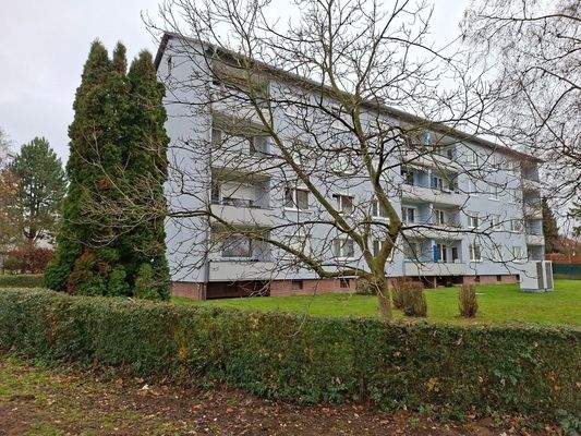 B - Bild Rückseite.jpg