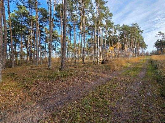 4_582333165_818846824094456_3657167647403884316_n.