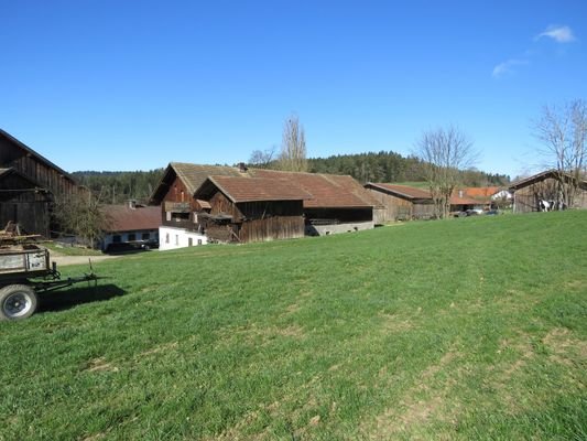 Südostansicht mit Holzschuppen  