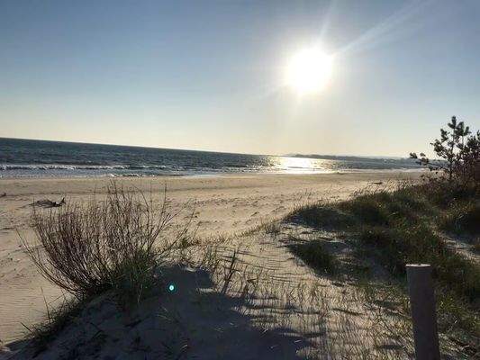 Nur wenige Meter vom Strand entfernt 