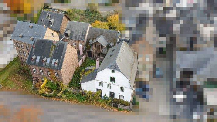 Mosel-Ensemble von oben