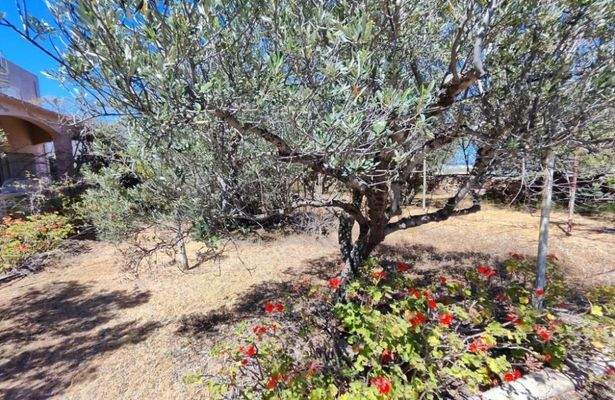 Kreta, Monastiraki: Großes Anwesen mit vielen Möglichkeiten zu verkaufen