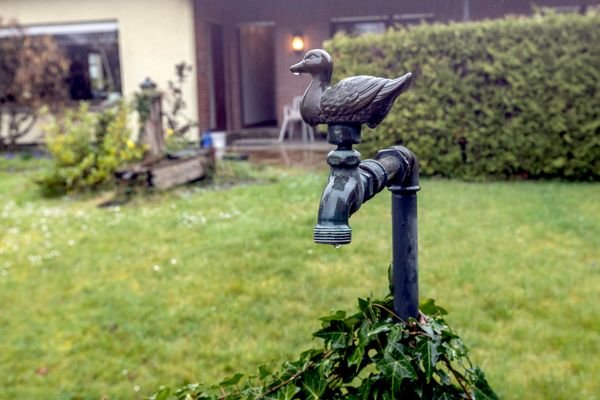 Gartenimpressionen