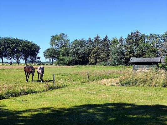 37b) IMG_20250701_102010.jpg