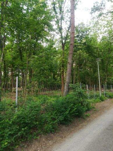 Berlin Grundstücke, Berlin Grundstück pachten