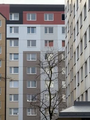 IMG_1423 (600x800)