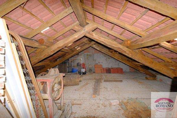 rif 1504(Copy50).jpg