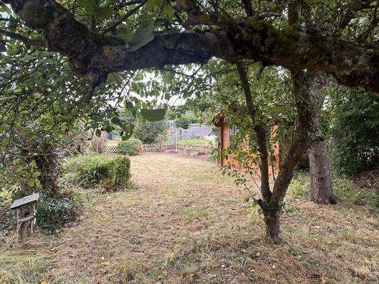 alter (Obst-)Baumbestand