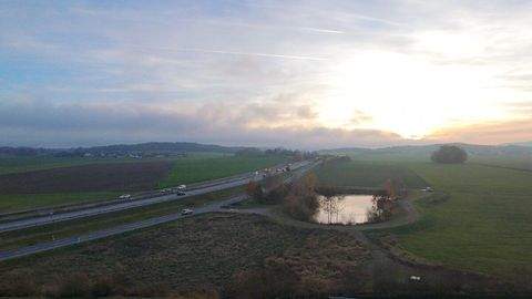 Cham Halle, Cham Hallenfläche