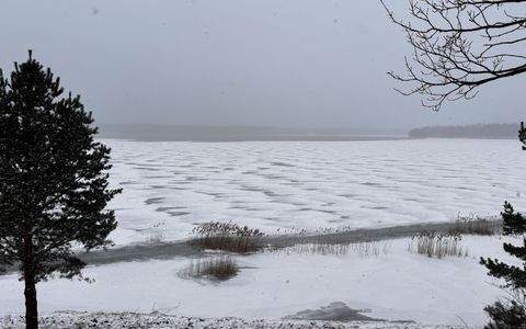 Spreetal Wohnungen, Spreetal Wohnung mieten