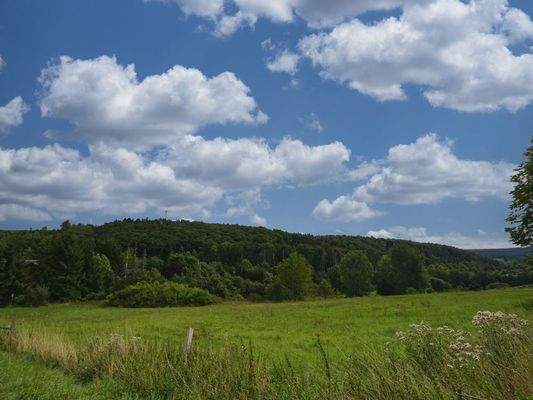 Sie sind interessiert?