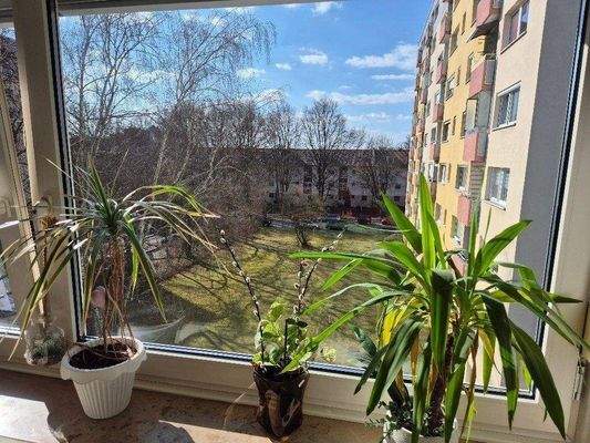 Blick vom Wohnzimmer