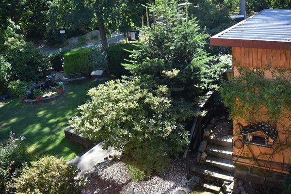 Ausblick in den Garten