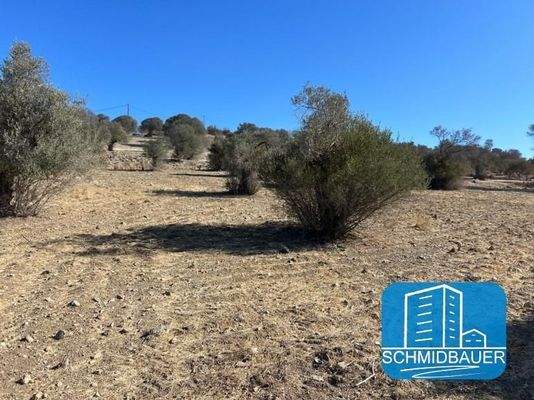 Kreta, Pitsidia: Grundstück mit Baugenehmigung für drei Luxusvillen zu verkaufen