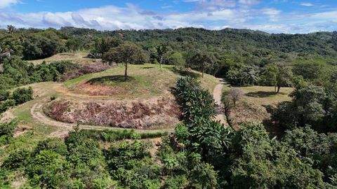 Ostional Bauernhöfe, Landwirtschaft, Ostional Forstwirtschaft