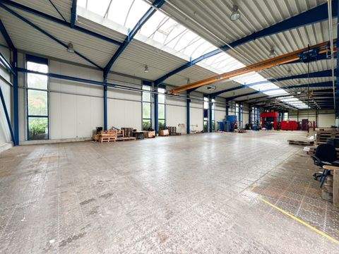 Niederau Halle, Niederau Hallenfläche