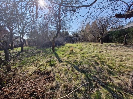 Garten mit Baumbestand