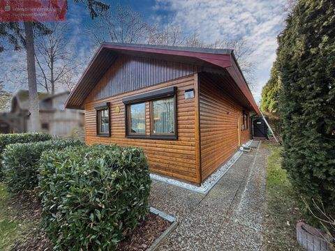 Uetze Häuser, Uetze Haus kaufen