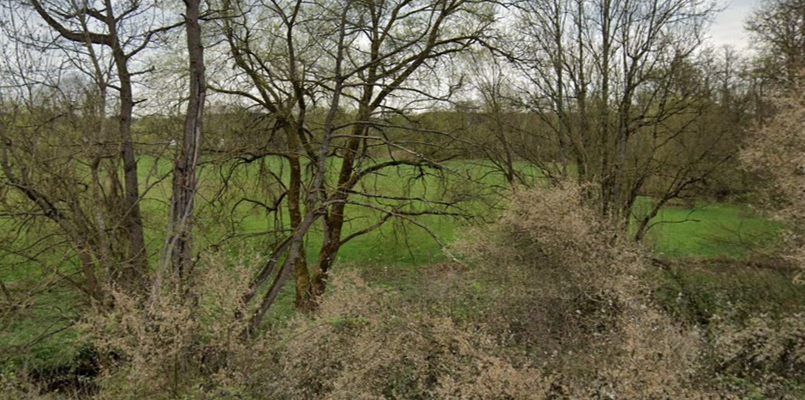 Wiesengrundstück gesucht.png