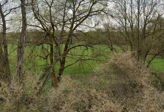 Wiesengrundstück gesucht.png