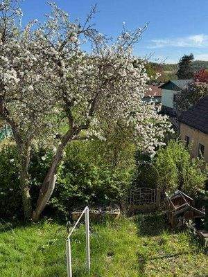 Ausblick aus OG zum Garten