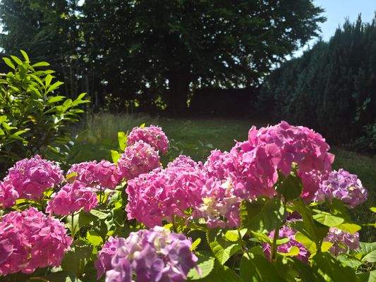 Herrliche Ruhe im eigenen Garten