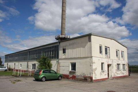 Demmin Halle, Demmin Hallenfläche