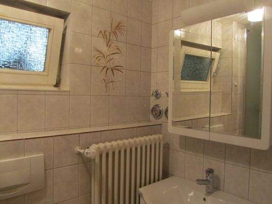 Duschbad Wohnung Gartengeschoss