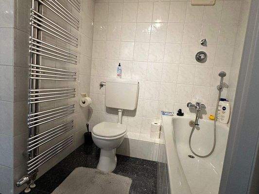 ...mit Toilette und Edelstahl-Handtuchtrockner