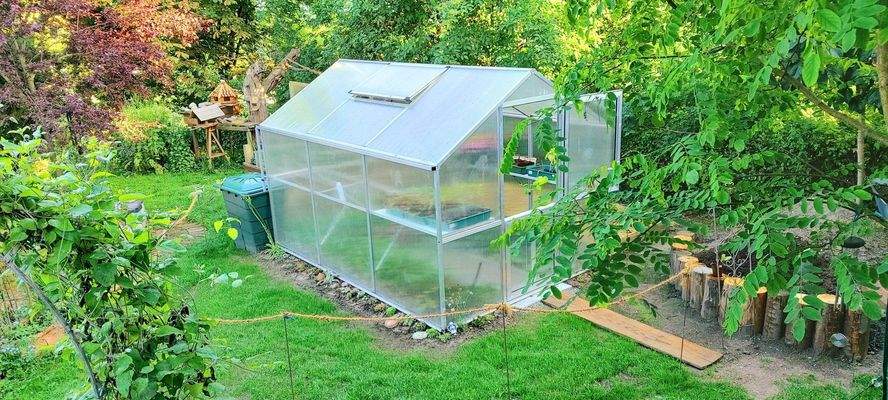 Gewächshaus 