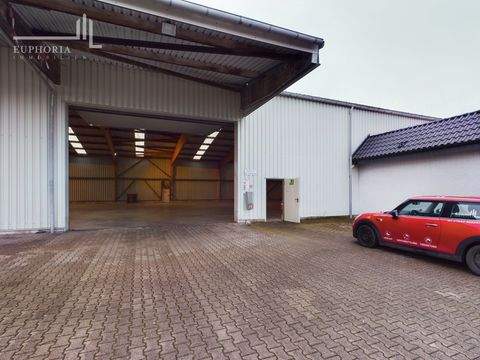 Hildburghausen Halle, Hildburghausen Hallenfläche