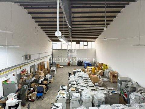 Hürth Halle, Hürth Hallenfläche