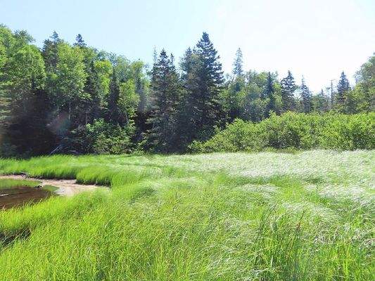 Cape Breton - Roberta - Einzigartiges 79-Hektar-Ar
