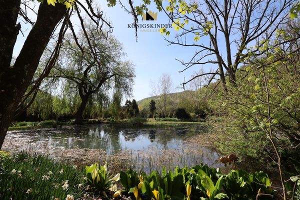 ...der Mühlbach in den Teich...