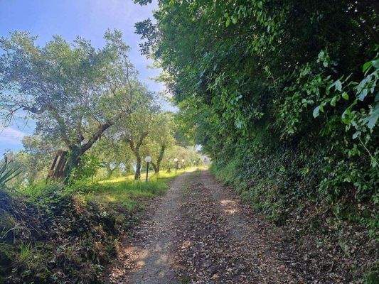 49_Rustico Toskana.jpg