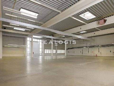 Göppingen Halle, Göppingen Hallenfläche