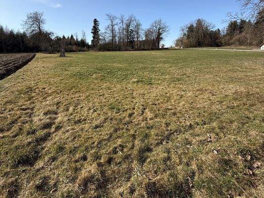 dazu gehöriges Grünland