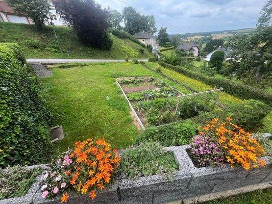 Garten / Baugrundstück