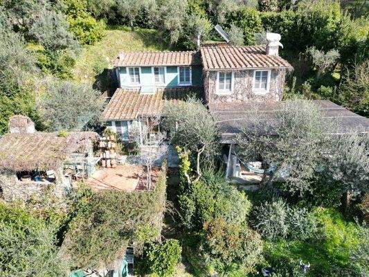 DJI_0991 (Kopie).JPG