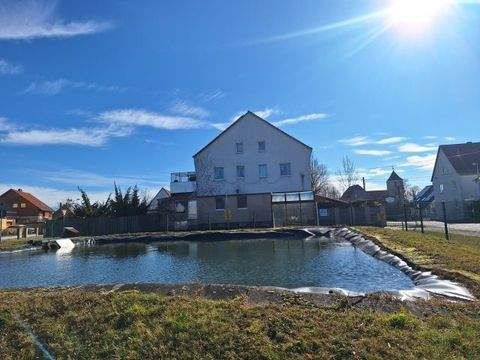 Brandis / Polenz Gastronomie, Pacht, Gaststätten