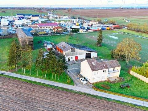 Lingenfeld Grundstücke, Lingenfeld Grundstück kaufen
