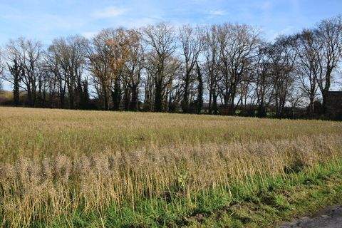 Nettetal Bauernhöfe, Landwirtschaft, Nettetal Forstwirtschaft