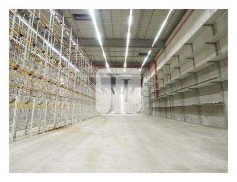 Hamburg Halle, Hamburg Hallenfläche