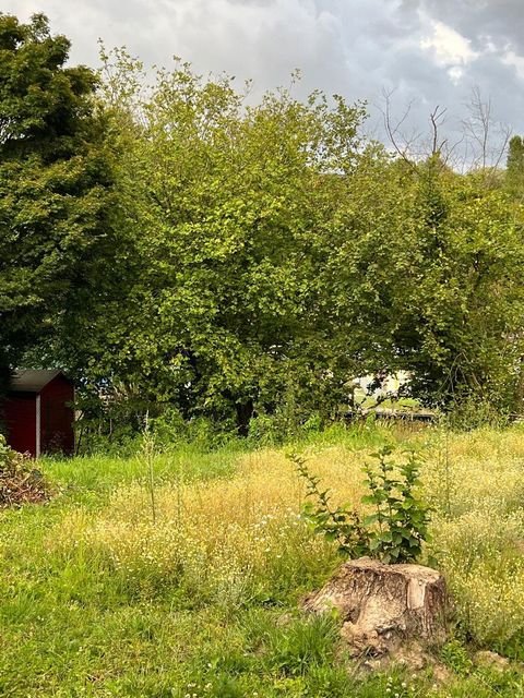 Neunkirchen-Seelscheid Grundstücke, Neunkirchen-Seelscheid Grundstück kaufen